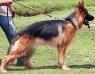 Neron del Olimpo