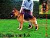 Dragon von Erk
