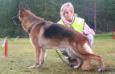 Stjernelia's Wilka