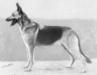  Arna von der Jüch
