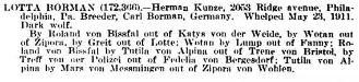  Lotte (Bormann) (1911)