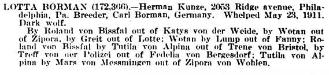  Lotte (Bormann) (1911)