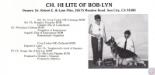 CH Hi Lite of Bob-Lyn