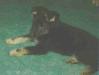 Betty von der Old Lady
