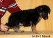 GREMI Equus