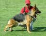 Nely de Chenil el Togo