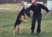 Ares Von Grunheide