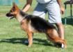 Whisper von Nummer Ein