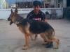 nicky of nishan