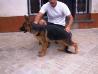 Hector De Los Baguales