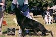 Caper's Acres Dark Victory