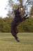 Crow von Hugelblick
