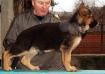 Scout Oger Schloss