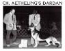 CH (US) Aethling's Dardan