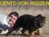 Cento von Rozzen