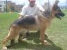 Wella del Olimpo