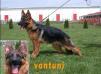 OdiN Von Tunİ