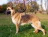 Lady Chloe Of Granville