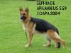 Sephia De Arkahnius