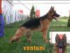 Della Von Tunİ