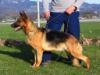 Donna vom Lastal
