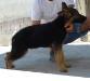 Apollo von Olympos