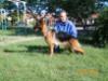 Sofy the Jomarguell