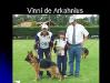 Vini de Arkahnius