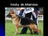 Inschy de Arkahnius