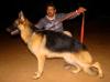 Silver Coin's Meghana's Great Boy