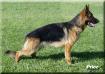 Price del Rione Antico