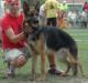 Bota Einsamer Wolf