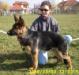 Lupo Einsamer Wolf
