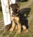 Marco Einsamer Wolf