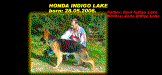 Honda Indigo Lake