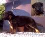 Eickena von Olympos