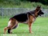 Excellent Emi van Huize Bardusa