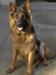 Gora Einsamer Wolf