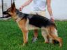 Casa del Mango's Athena at Valor Lund