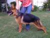NINA VON AVIATOR (AGUILAR)