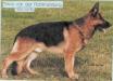Eros von der Rottmündung