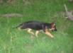 Oliver aus Bolivien