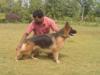 Shinde'S Aashu