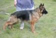 Duke Von Sparr
