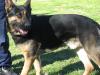 Regalschloss Arko