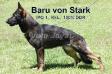 Baru von Stark