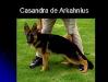 Cassandra de Arkahnius