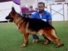 Diesel Of Deejay