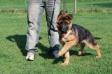 Zeus von Alp