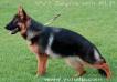 Zeyna von Alp